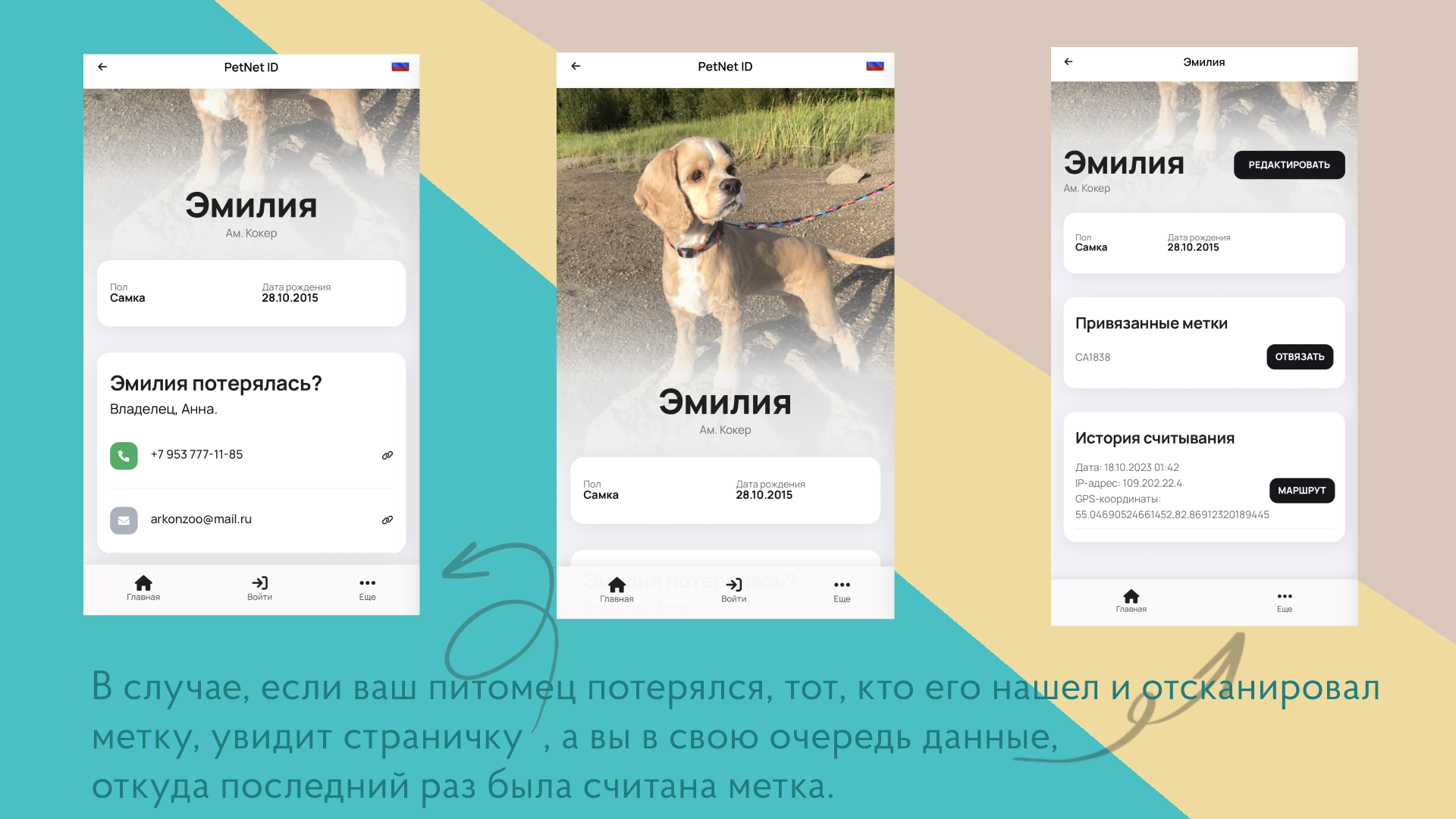 Страница 3